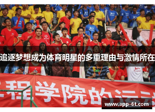 追逐梦想成为体育明星的多重理由与激情所在